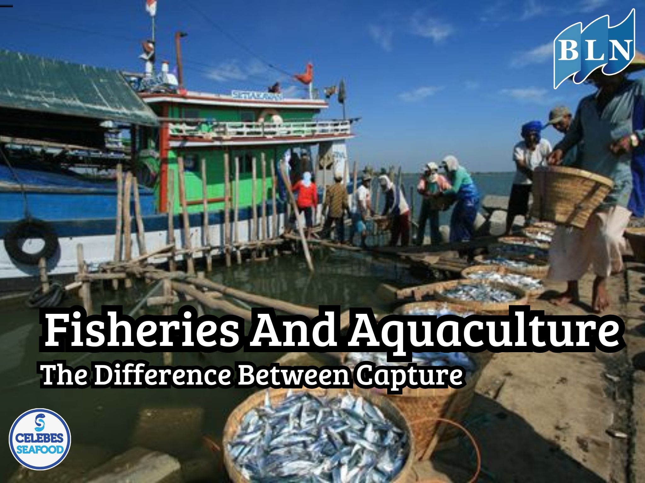 The Difference Between Capture Fisheries And Aquaculture